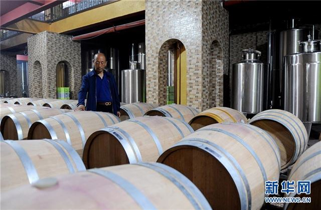（宁夏60年）（1）葡萄酒产业富民增收